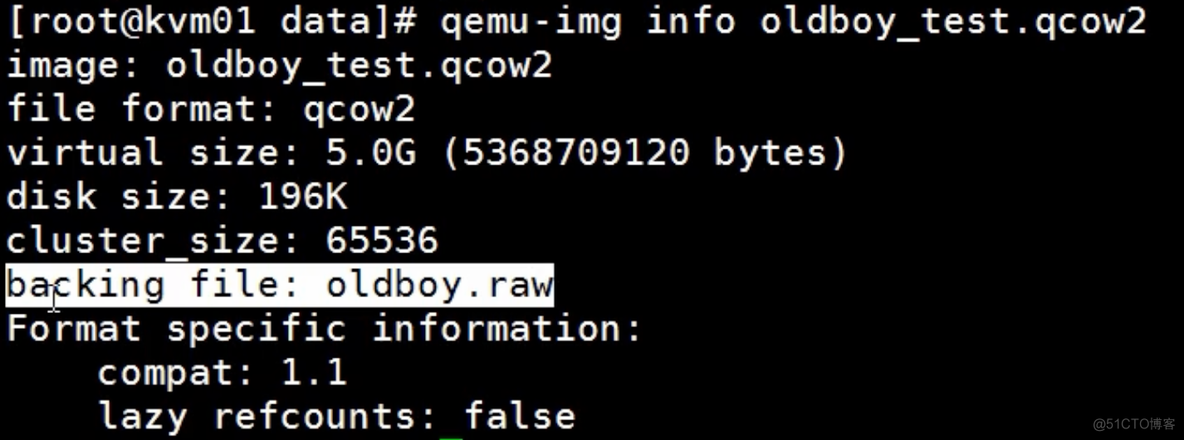 kvm导入qcow2 bootingfrom hard disk kvm导出_自动链接克隆_04