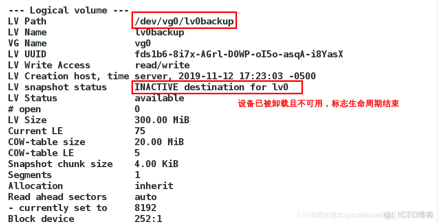 查看LVS进程状态 linux 查看lvm_文件系统_21