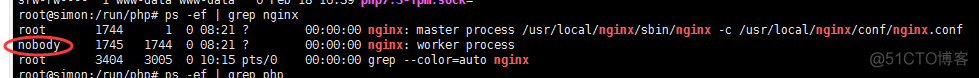 freebsd nginx都有啥服务 nginx fpm_nginx_02