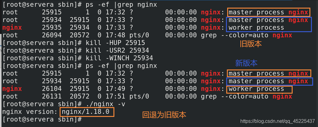 Nginx GUI下载 nginx/1.19.2_Nginx GUI下载_03