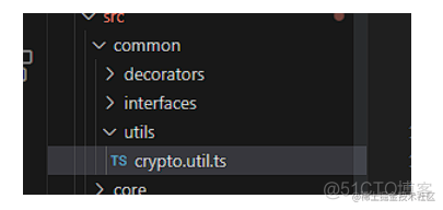 nestjs 实体 nestjs项目_typeorm_09