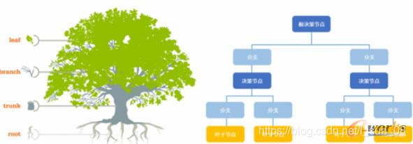 决策树回归与分类差别 决策树是回归还是分类_结点