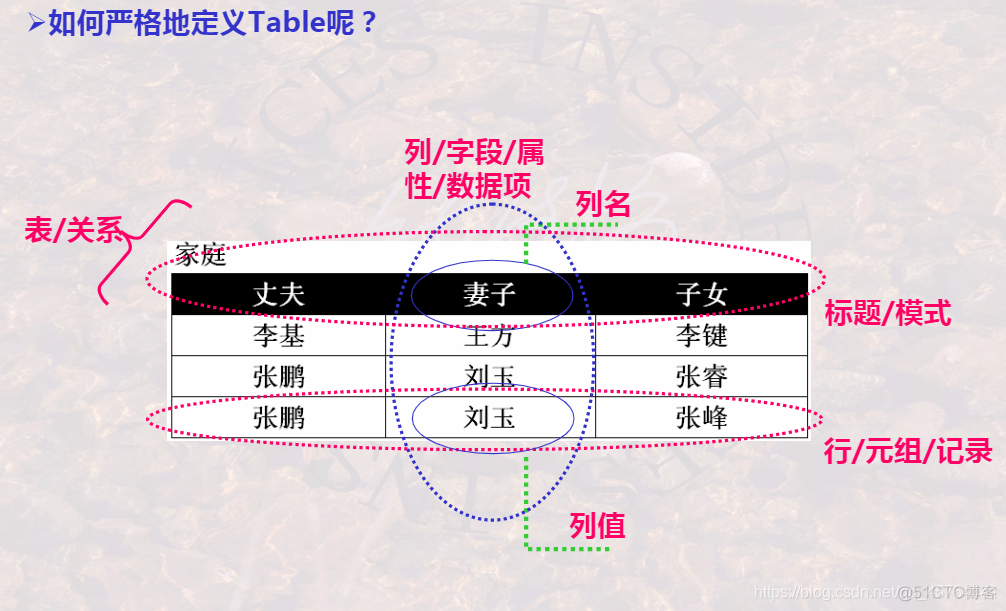 表的结构members 表的结构称为关系模式_元组_06