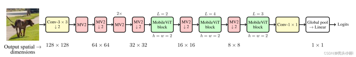 MobileVIT原理详解篇_卷积_03
