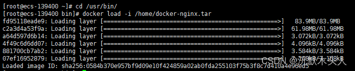 docker离线镜像nginx docker离线安装部署 linux_nginx_04