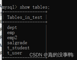 mysql实训教程 mysql实训7_数据库_02