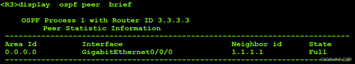 ensp ospf 密码认证 ensp ospf配置_tcp/ip_09