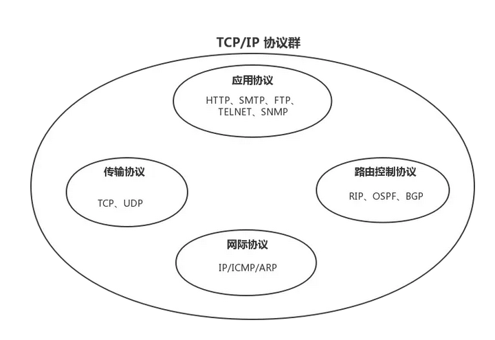 网络协议应用系统中架构图 网络协议的层次结构图_客户端_02