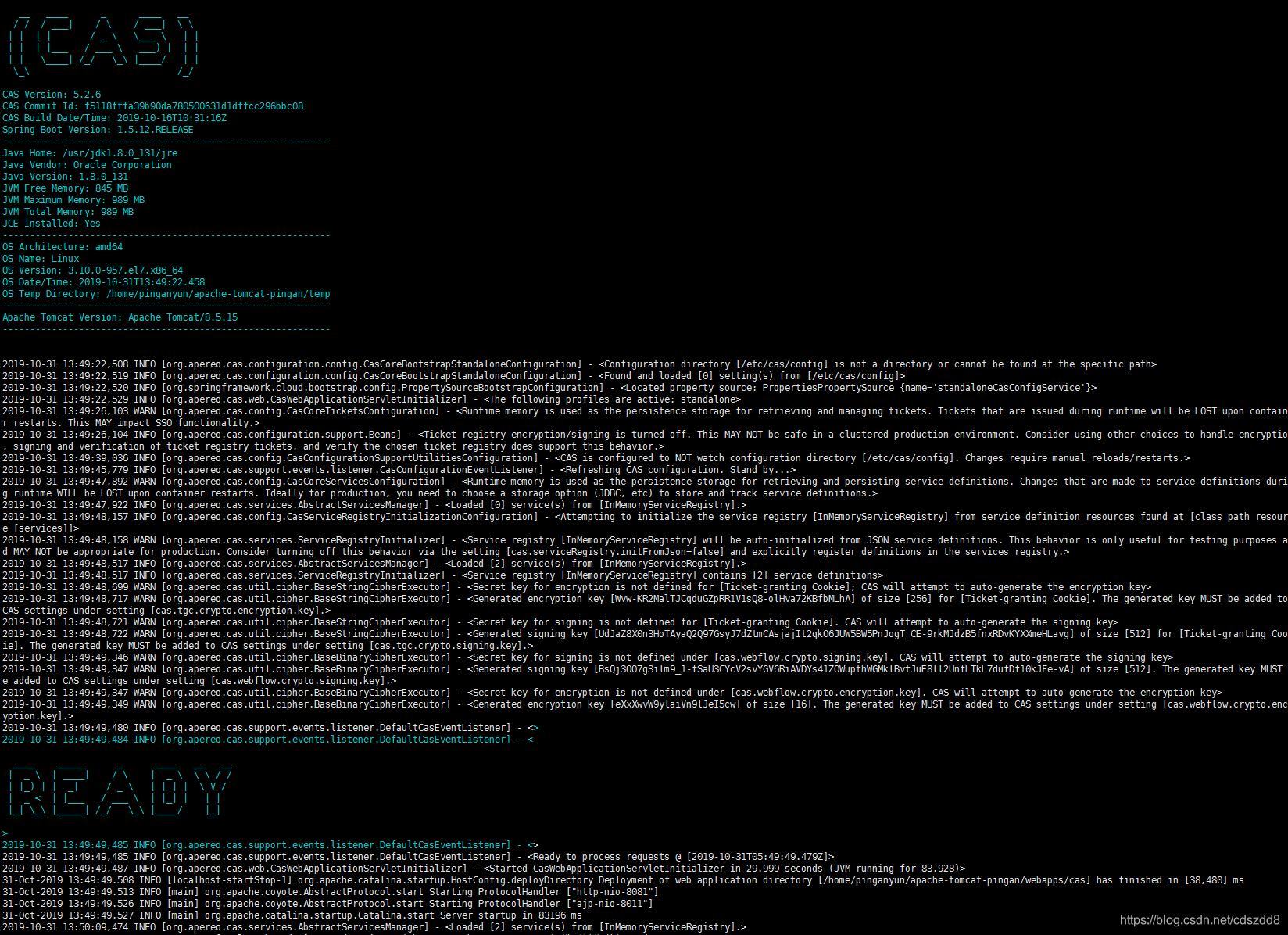 spring boot 集成radis spring boot集成cas,spring boot 集成radis spring boot集成cas_tomcat_09,第9张