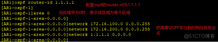 tcpdump 抓ospf 报文 ospf抓包分析_tcpdump 抓ospf 报文_03