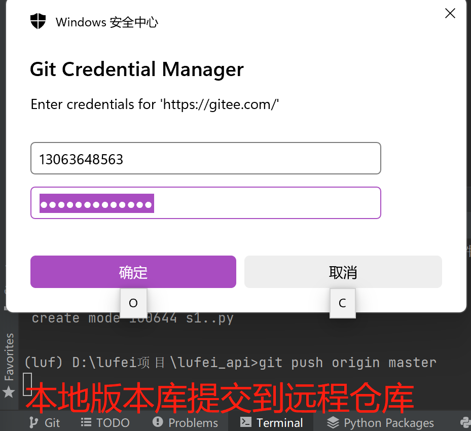 Git远程仓库操作团队成员内协作 git 提交远程仓库_Git远程仓库操作团队成员内协作_06