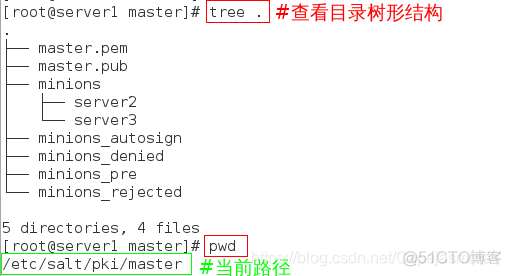 saltstack master 配置 saltstack架构_配置文件_27