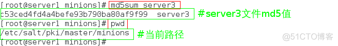 saltstack master 配置 saltstack架构_客户端_30