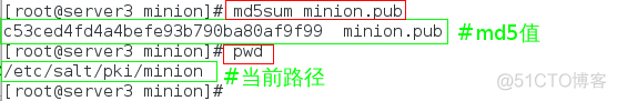 saltstack master 配置 saltstack架构_配置文件_31