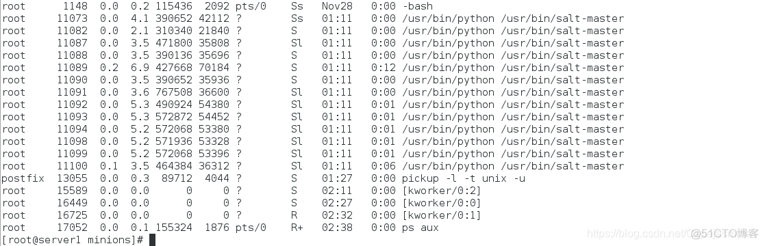 saltstack master 配置 saltstack架构_客户端_32