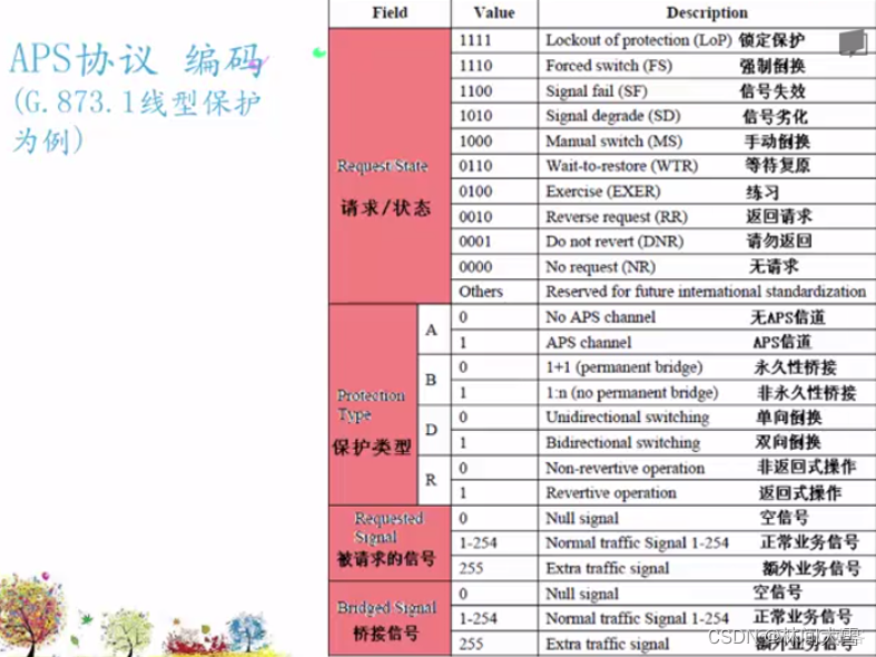 OTN 架构 协议 otn技术的概述和特点_网络协议_46