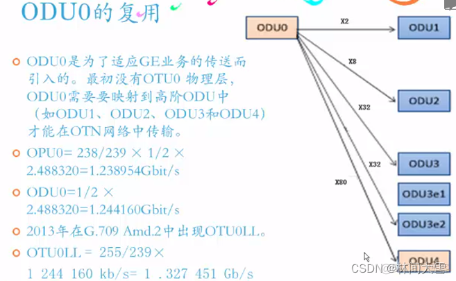 OTN 架构 协议 otn技术的概述和特点_网络协议_73