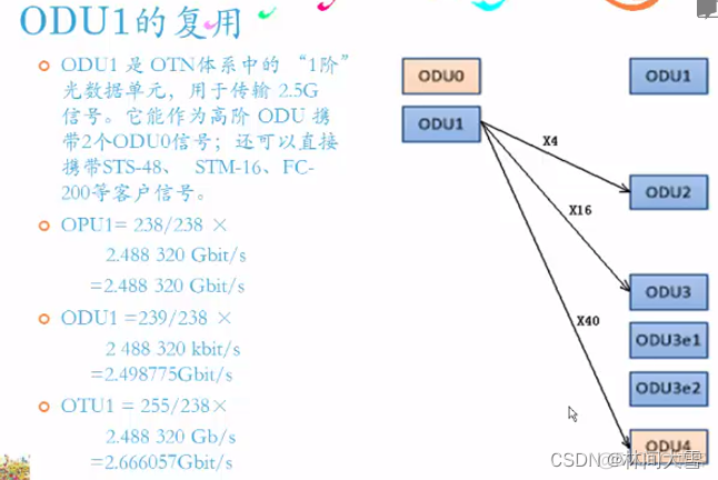 OTN 架构 协议 otn技术的概述和特点_OTN 架构 协议_74