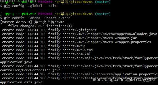 如何把gitee上的代码导入到gitlab 将代码上传到gitee_注册码_11