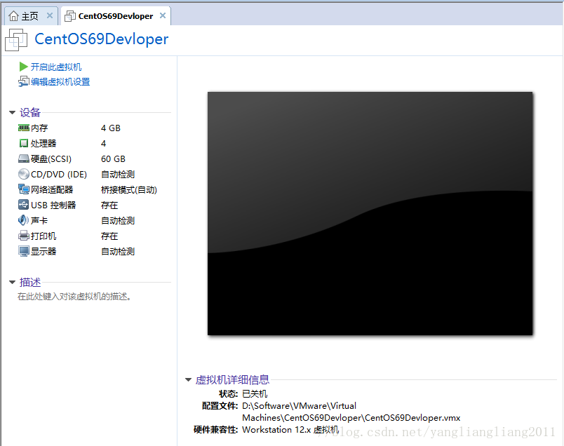 centos系统手动安装dnf 安装centos6.9步骤_VMware Tool_16