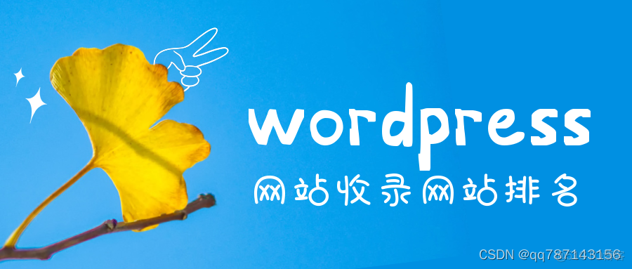 WordPress后台域名设置 wordpress域名是什么_wordpress域名_04