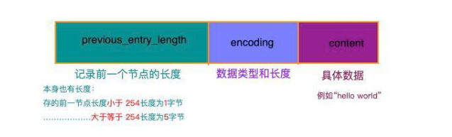 redis看到的数据是hex格式的 redis的五种数据格式_redis_12