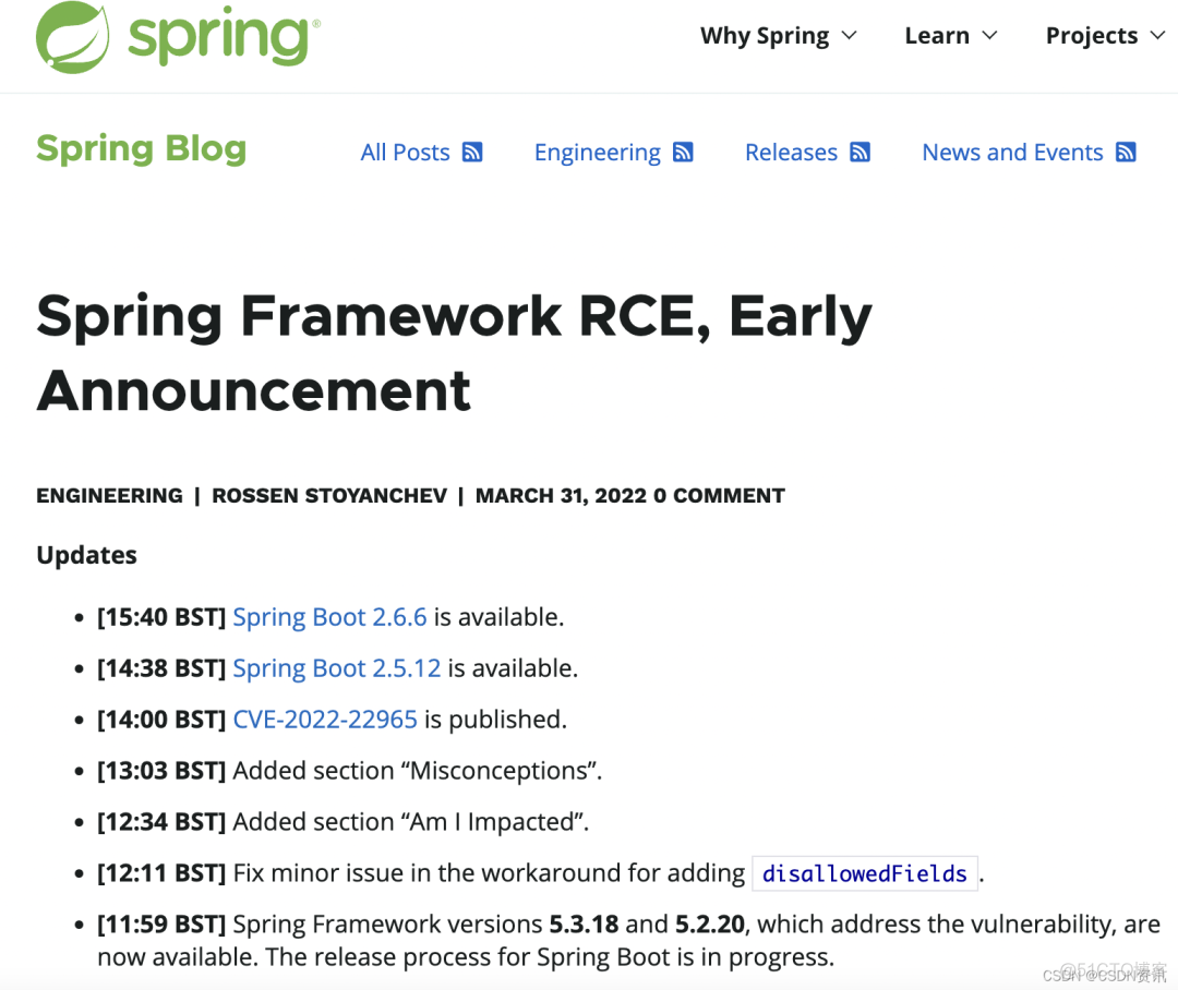 Javascrip 使用含有已知漏洞的组件 java最新漏洞_spring_09