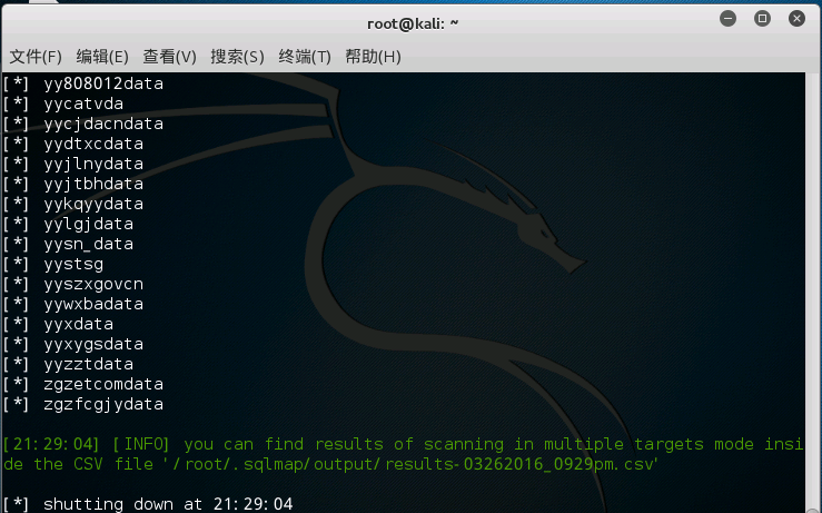 sqlmap access注入 sqlmap注入方式_sqlmap access注入_02