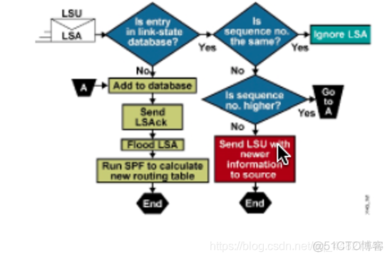 OSPF 一类LSA ospf的一类二类_一类LSA_02