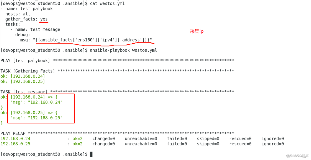 ansible 变量怎么查 ansible 变量详解(三)_python_17