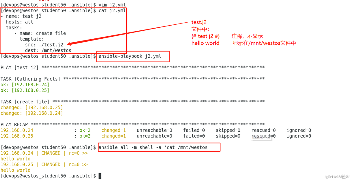 ansible 变量怎么查 ansible 变量详解(三)_django_22