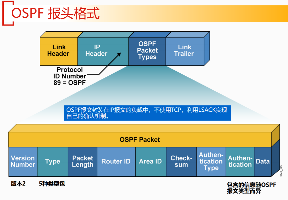 ospf的dd报文主从 dr ospf dd报文的作用,ospf的dd报文主从 dr ospf dd报文的作用_ospf,第1张