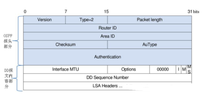 ospf的dd报文主从 dr ospf dd报文的作用,ospf的dd报文主从 dr ospf dd报文的作用_路由协议_03,第3张