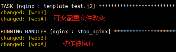 ansible 去掉warning ansible local_action_vim_19