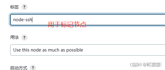 jenkins windows从节点配置 jenkins添加ssh节点_ssh_08