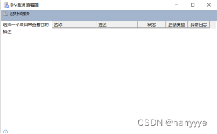 maven连接达梦数据库配置 达梦数据库连接工具_服务器_05