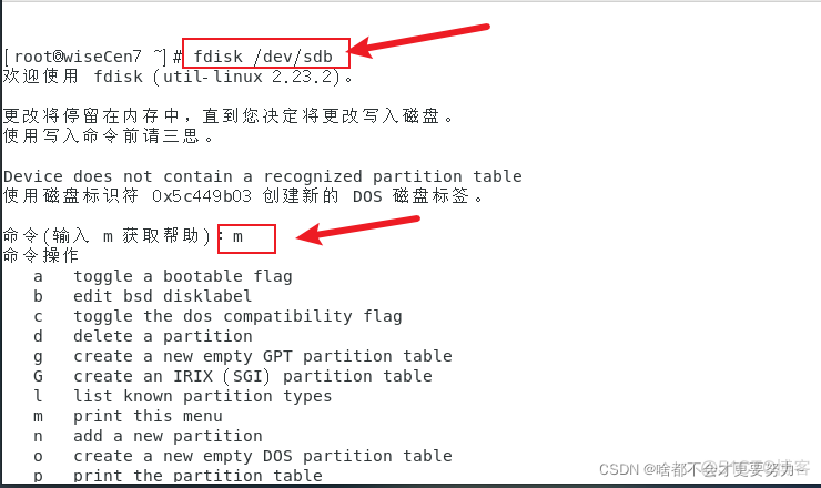 centos7 虚拟机添加磁盘 linux虚机添加磁盘_x系统_10