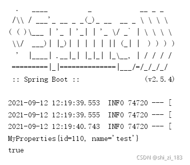 springg boot 核心组件 spring boot的核心配置文件_springg boot 核心组件_06