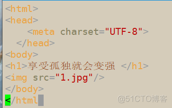 nginx 哪个版本 nginx哪个版本好用_nginx 哪个版本_13