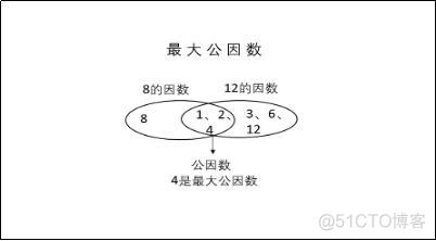 Python求解最大公倍数 python求最大公因数_因式分解_03