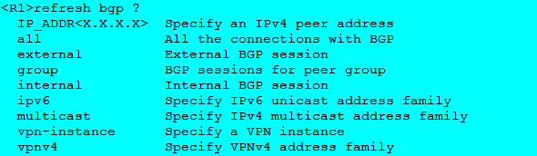 BGP的5种报文 bgp有几种报文_报文种类_14