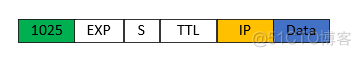 MPLS专线能不能实现公网透传 mpls转发流程_ip_04