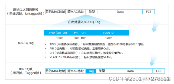 vlan技术翻译介绍 vlan的技术_IP_02