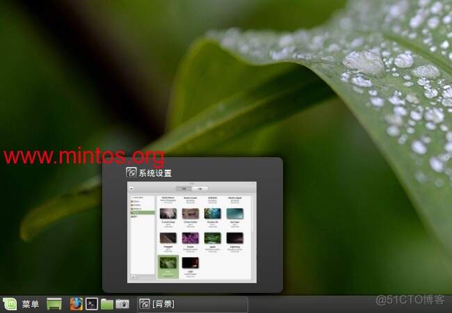 蓝天准系统怎么更新bios 蓝天准系统17.3_linux mint 17.3 内核_13