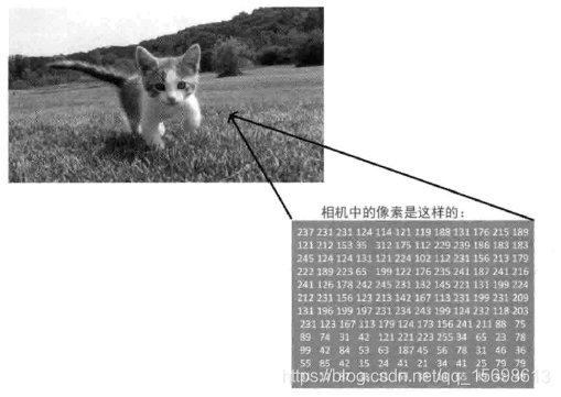 opencv mat 找到曲线 opencv mat rect_赋值