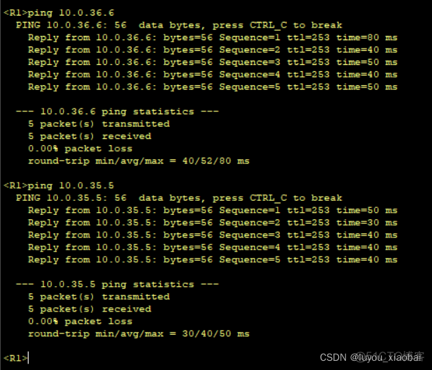 ospf网段精确宣告 ospf如何宣告网段_华为_04