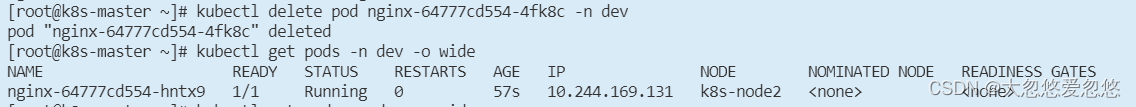 k8s namespace能和node绑定吗 k8s namespace作用,k8s namespace能和node绑定吗 k8s namespace作用_nginx_08,第8张