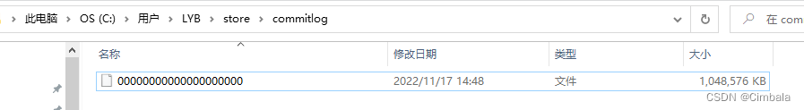 rocketMQTemplate发送带tag的主题 rocketmq tag原理_时间戳_13