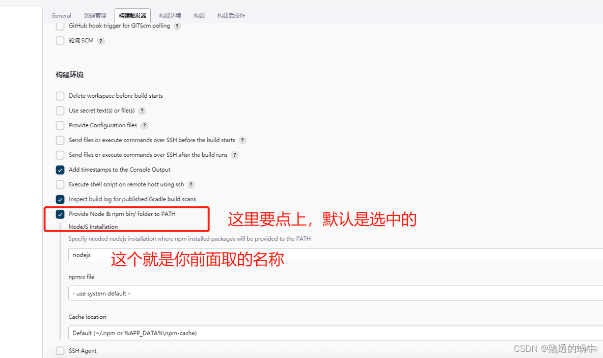 jenkins vue项目配置文件 jenkins构建vue项目_运维_15