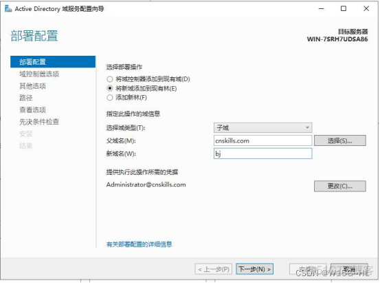 SERVER2022AD域启用LDAP windows server ad域_DNS_12